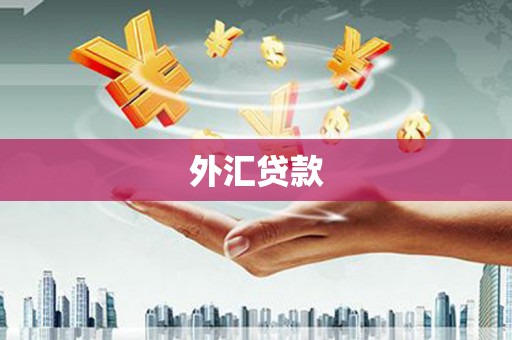 路环岛外汇贷款