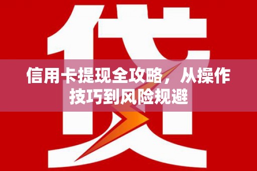 路环岛信用卡提现全攻略，从操作技巧到风险规避