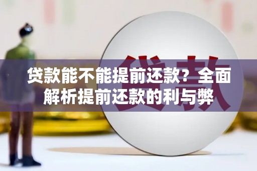 路环岛贷款能不能提前还款？全面解析提前还款的利与弊