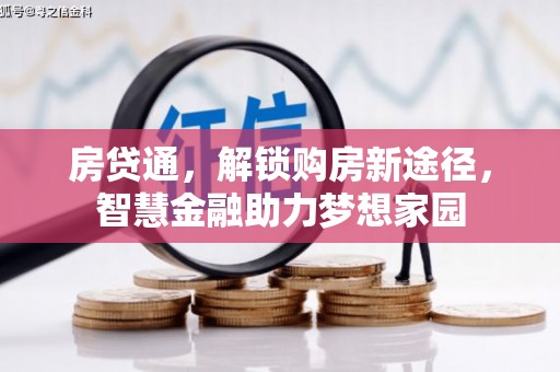 路环岛房贷通，解锁购房新途径，智慧金融助力梦想家园
