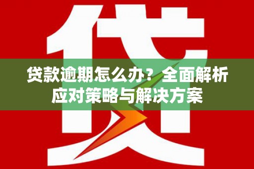 路环岛贷款逾期怎么办？全面解析应对策略与解决方案