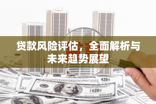 路环岛贷款风险评估，全面解析与未来趋势展望