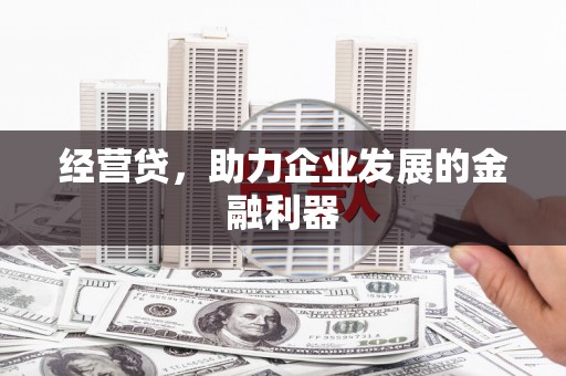 路环岛经营贷，助力企业发展的金融利器