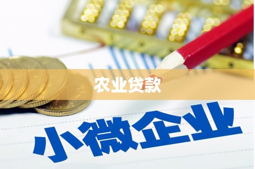 路环岛农业贷款