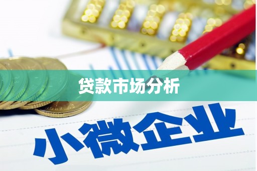 路环岛贷款市场分析