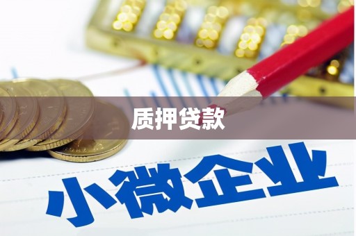 路环岛质押贷款