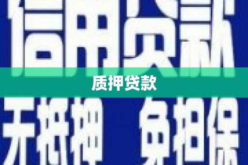 路环岛质押贷款