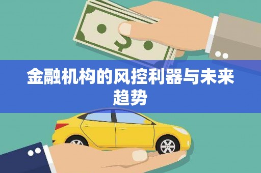 路环岛金融机构的风控利器与未来趋势