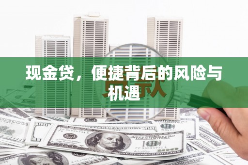 路环岛现金贷，便捷背后的风险与机遇