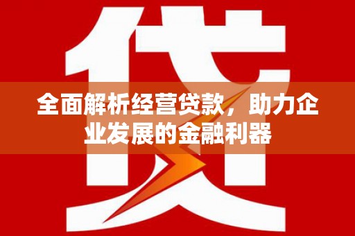路环岛全面解析经营贷款，助力企业发展的金融利器