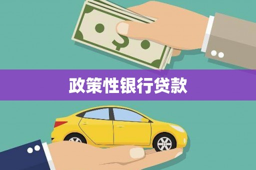 路环岛政策性银行贷款