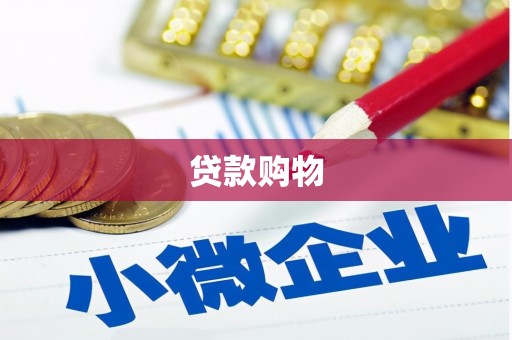 路环岛贷款购物