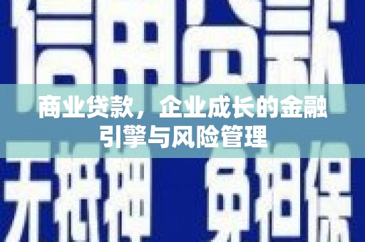 路环岛商业贷款，企业成长的金融引擎与风险管理