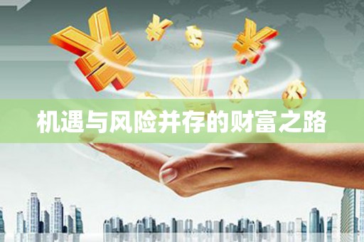 路环岛机遇与风险并存的财富之路