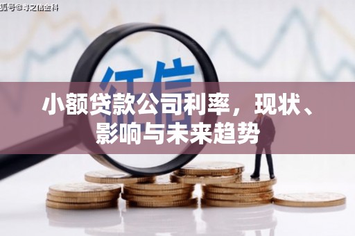 路环岛小额贷款公司利率，现状、影响与未来趋势
