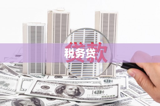 路环岛税务贷