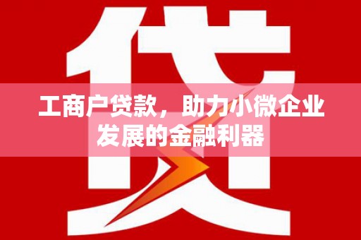 路环岛工商户贷款，助力小微企业发展的金融利器