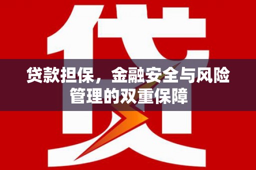 路环岛贷款担保，金融安全与风险管理的双重保障