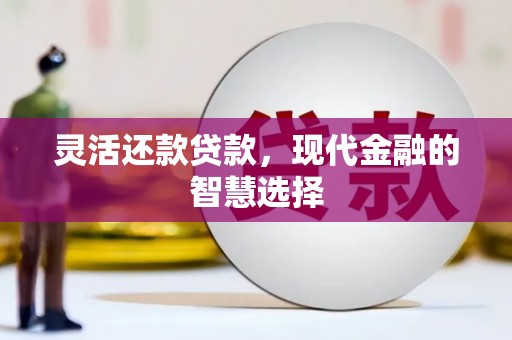 路环岛灵活还款贷款，现代金融的智慧选择