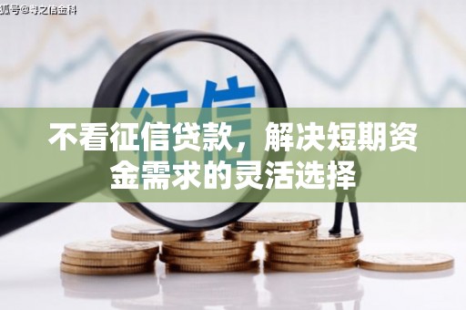 路环岛不看征信贷款，解决短期资金需求的灵活选择