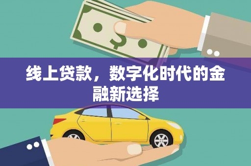 路环岛线上贷款，数字化时代的金融新选择