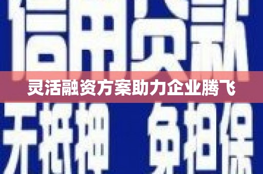 路环岛灵活融资方案助力企业腾飞