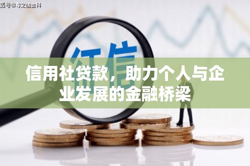 路环岛信用社贷款，助力个人与企业发展的金融桥梁