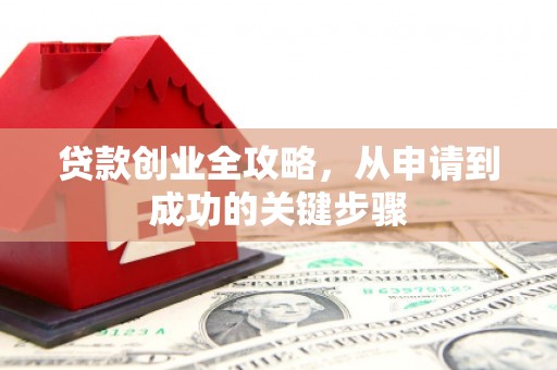 路环岛贷款创业全攻略，从申请到成功的关键步骤