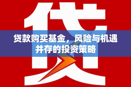 路环岛贷款购买基金，风险与机遇并存的投资策略