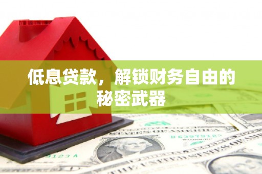 路环岛低息贷款，解锁财务自由的秘密武器