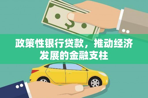 路环岛政策性银行贷款，推动经济发展的金融支柱