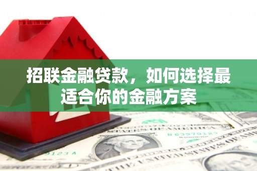 路环岛招联金融贷款，如何选择最适合你的金融方案