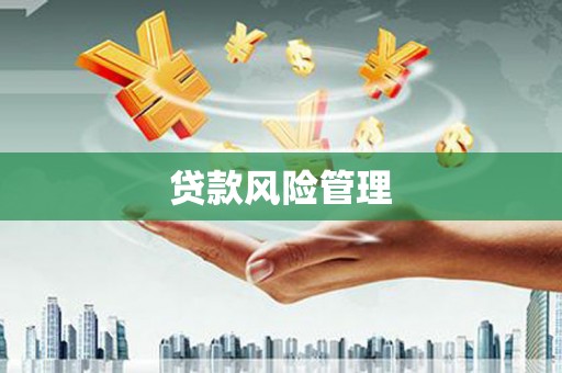 路环岛贷款风险管理