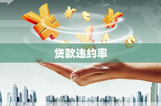 路环岛贷款违约率