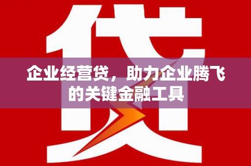 路环岛企业经营贷，助力企业腾飞的关键金融工具
