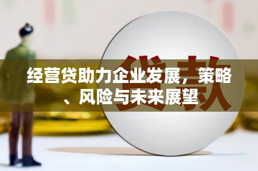 路环岛经营贷助力企业发展，策略、风险与未来展望