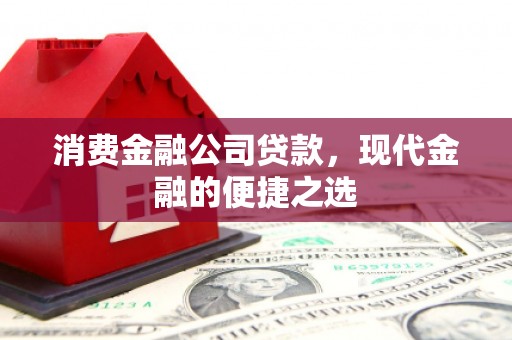 路环岛消费金融公司贷款，现代金融的便捷之选