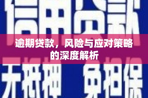 路环岛逾期贷款，风险与应对策略的深度解析