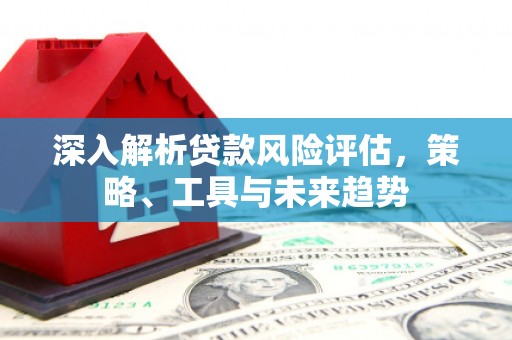路环岛深入解析贷款风险评估，策略、工具与未来趋势