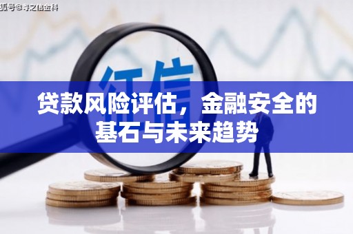 路环岛贷款风险评估，金融安全的基石与未来趋势