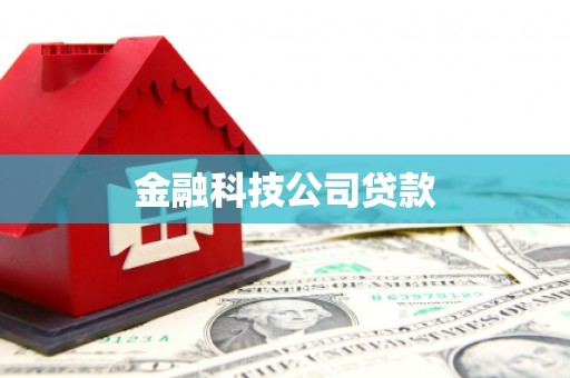 路环岛金融科技公司贷款