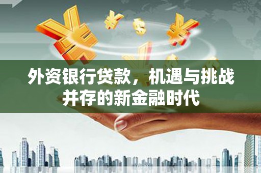 路环岛外资银行贷款，机遇与挑战并存的新金融时代