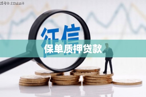 路环岛保单质押贷款