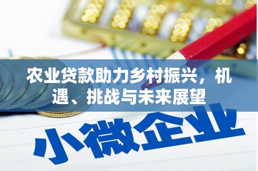 路环岛农业贷款助力乡村振兴，机遇、挑战与未来展望