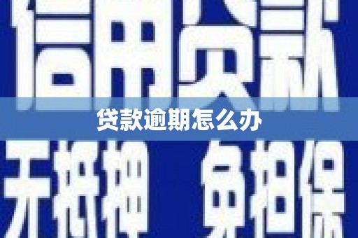 路环岛贷款逾期怎么办