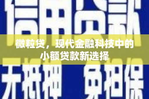 路环岛微粒贷，现代金融科技中的小额贷款新选择