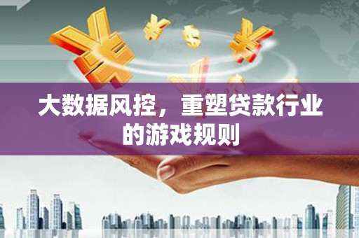 路环岛大数据风控，重塑贷款行业的游戏规则