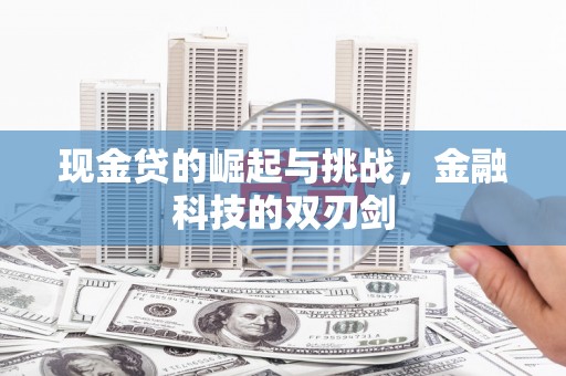路环岛现金贷的崛起与挑战，金融科技的双刃剑