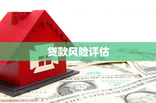 路环岛贷款风险评估