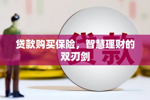 路环岛贷款购买保险，智慧理财的双刃剑